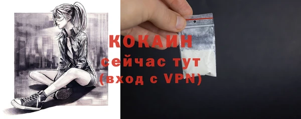 молекула духа Касимов