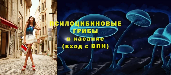 молекула духа Касимов