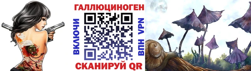 Псилоцибиновые грибы мицелий  Купить где  Нерехта 